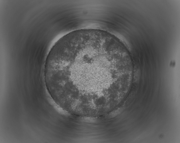 X0000092081086200710101035