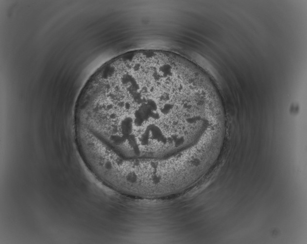 X0000092081087200710101035