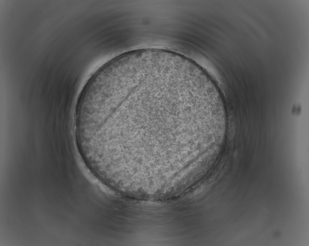 X0000092081088200710101035