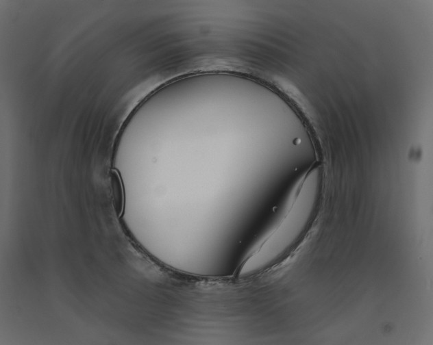 X0000092081089200710101035