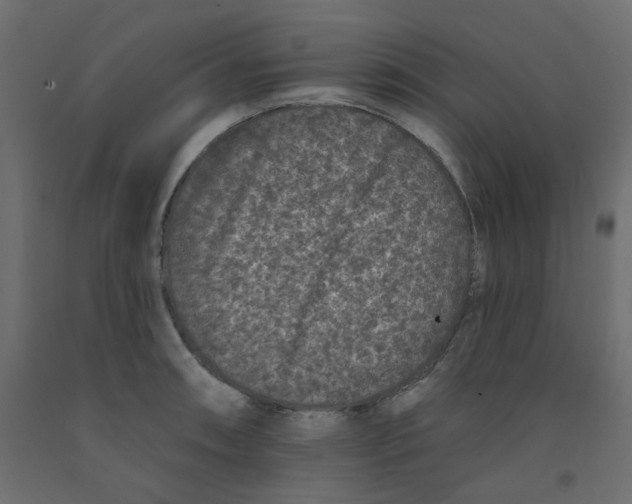 X0000092081090200710101035