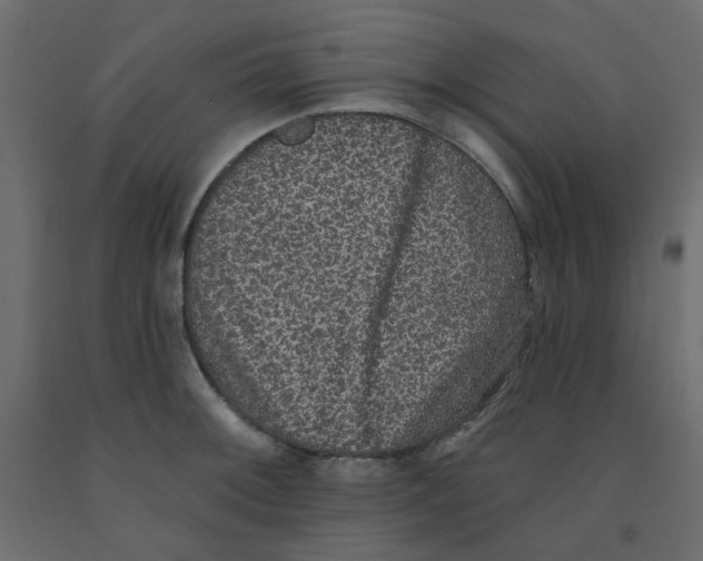 X0000092081092200710101035