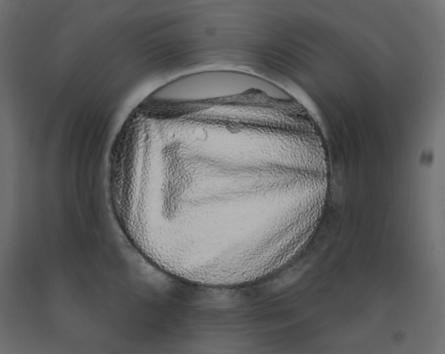 X0000092081096200710101035