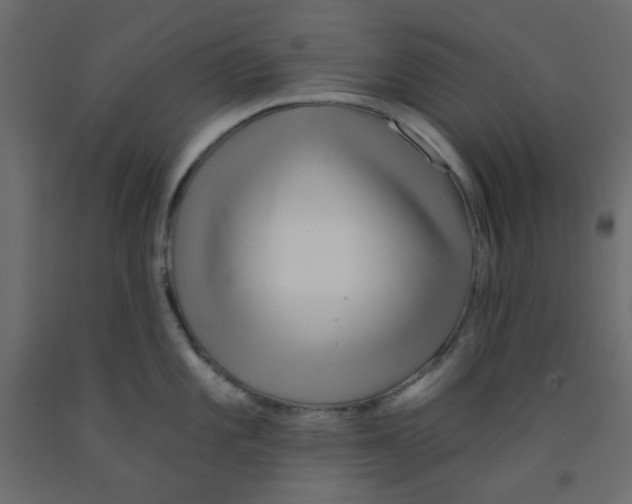 X0000092081101200710101035