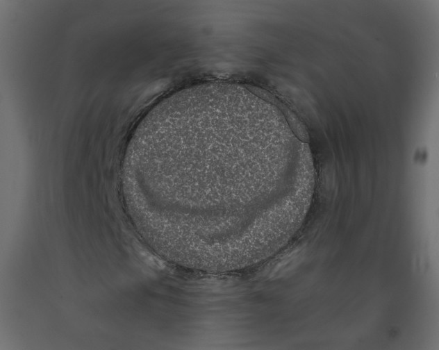 X0000092081105200710101034