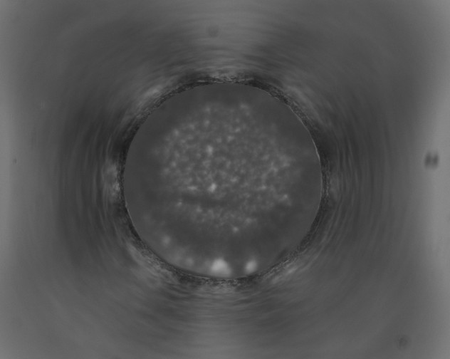 X0000092081106200710101034