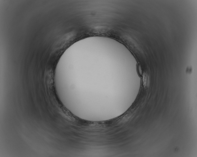 X0000092081107200710101034