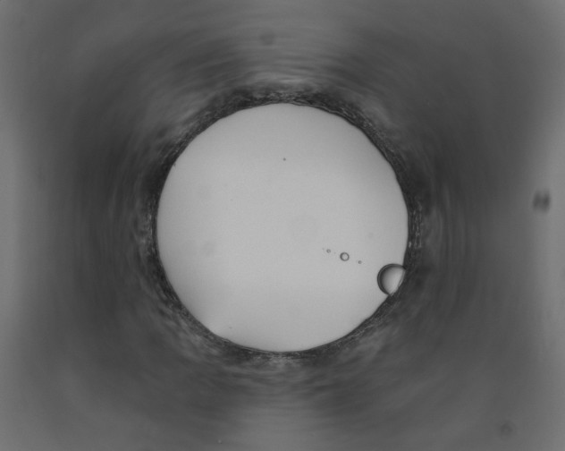 X0000092081109200710101034