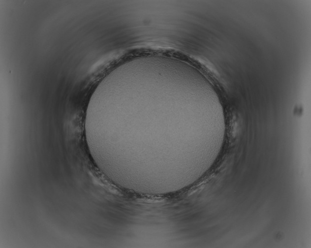 X0000092081110200710101034