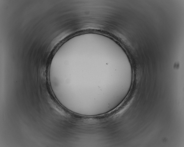 X0000092081113200710101034