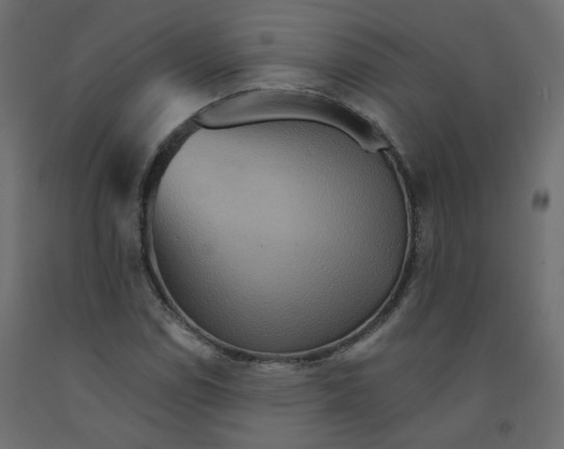 X0000092081114200710101034