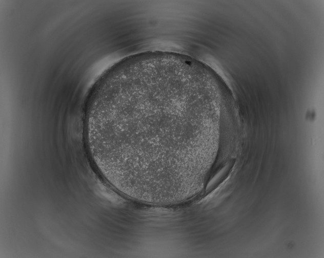 X0000092081115200710101034