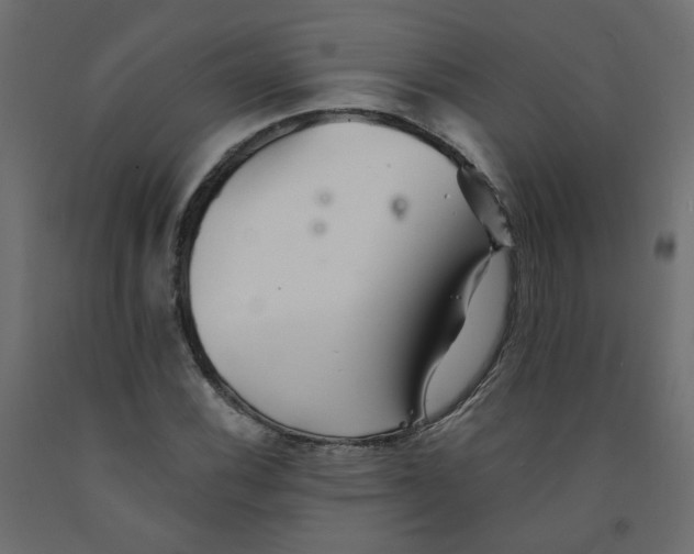 X0000092081116200710101034