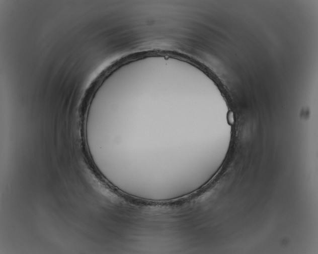 X0000092081118200710101034