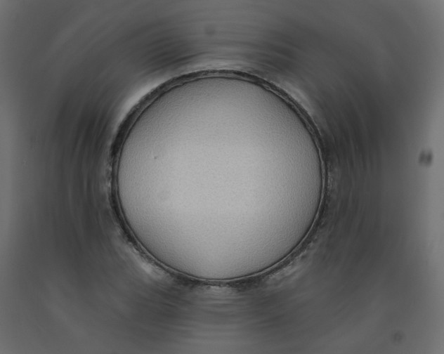 X0000092081119200710101034