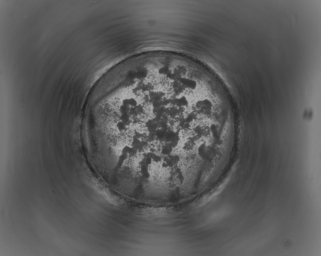 X0000092081121200710101035