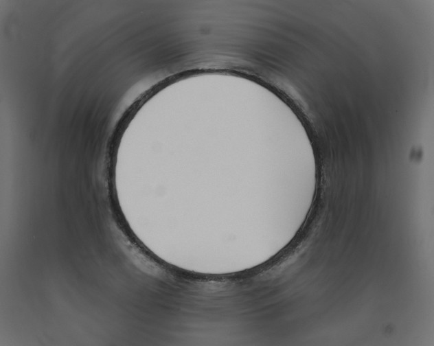 X0000092081122200710101035