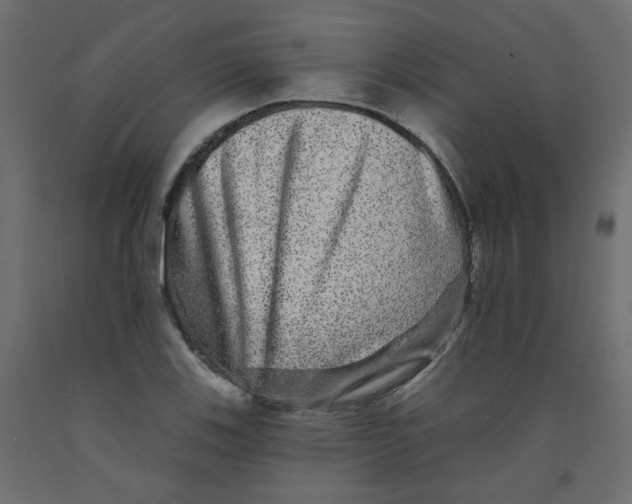 X0000092081123200710101035