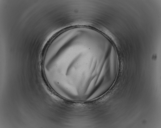 X0000092081124200710101035