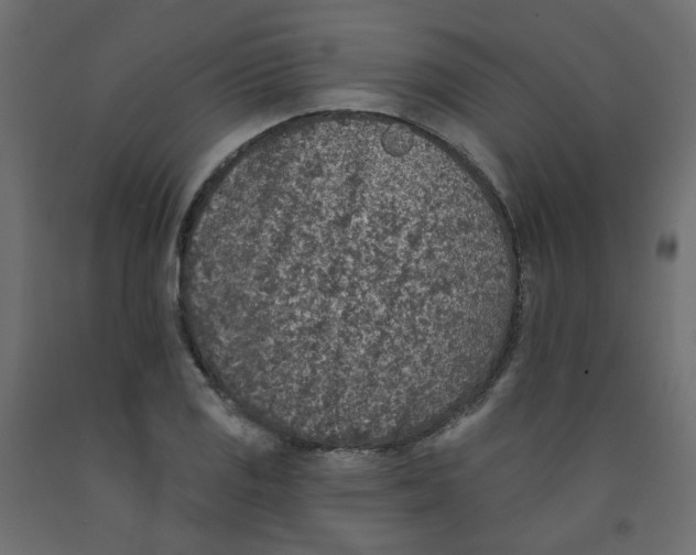 X0000092081125200710101035