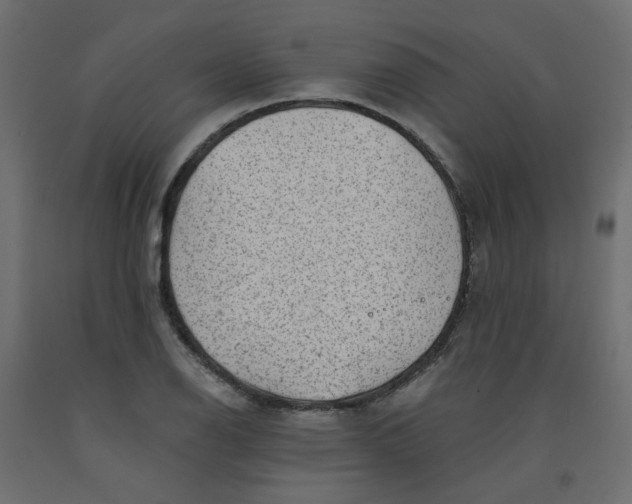 X0000092081126200710101035