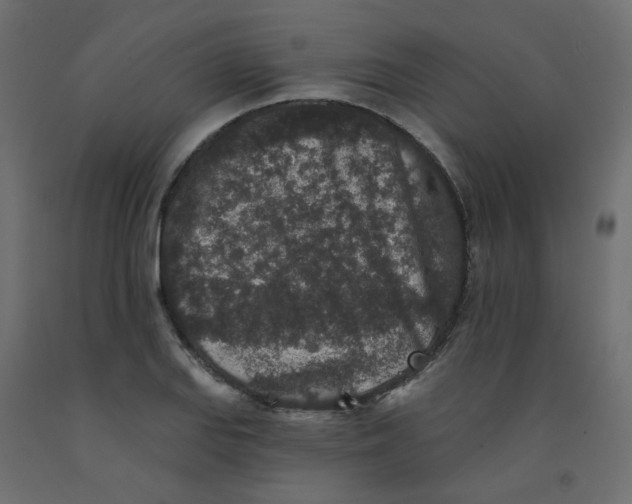 X0000092081127200710101035