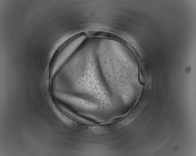 X0000092081128200710101035