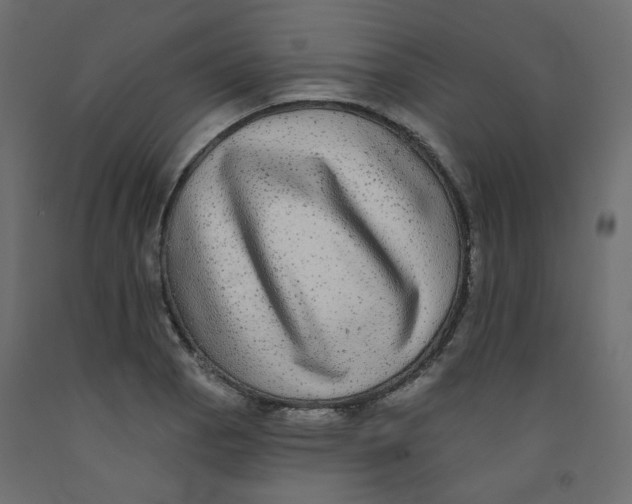 X0000092081129200710101035