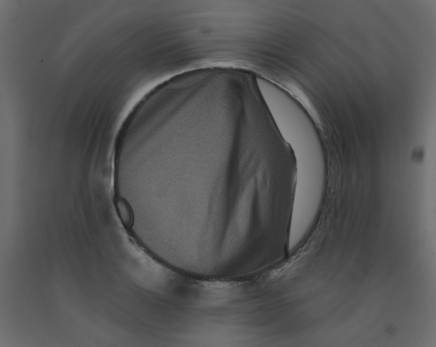 X0000092081132200710101035