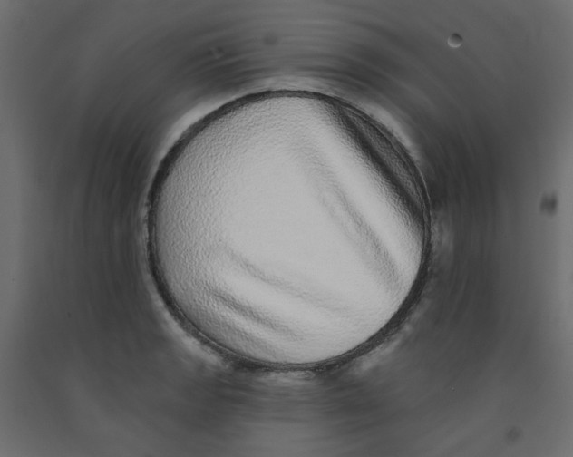 X0000092081133200710101035