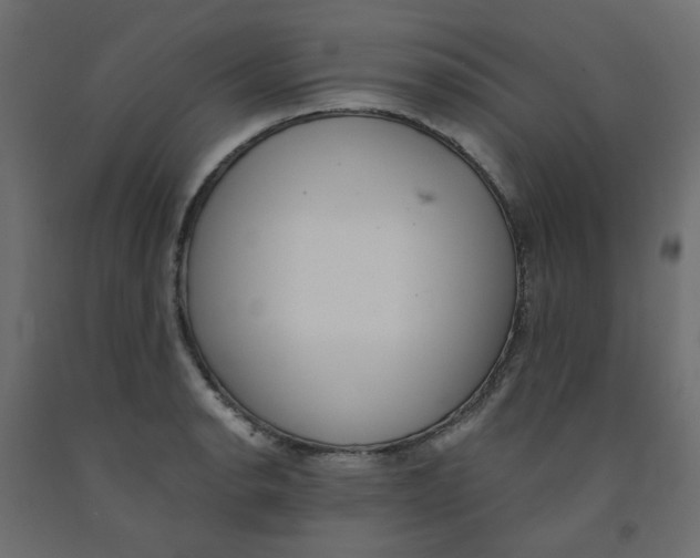 X0000092081134200710101035