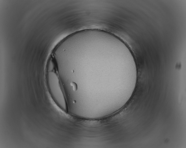 X0000092081135200710101035