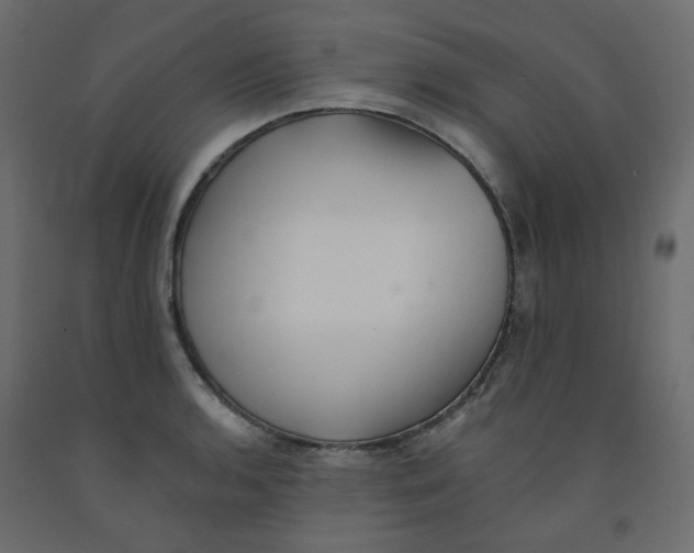 X0000092081136200710101035