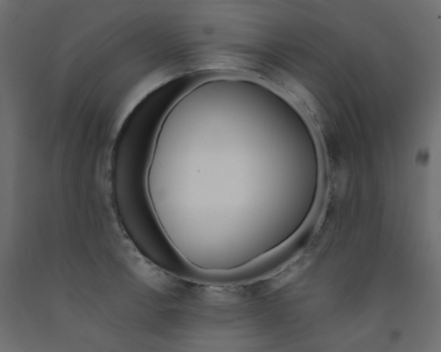 X0000092081138200710101035