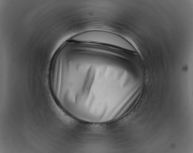 X0000092081139200710101035