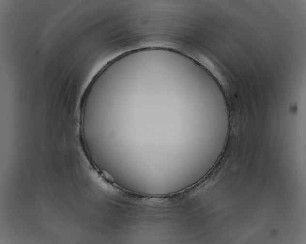 X0000092081140200710101035