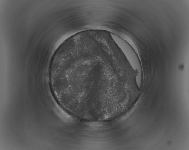 X0000092081141200710101035