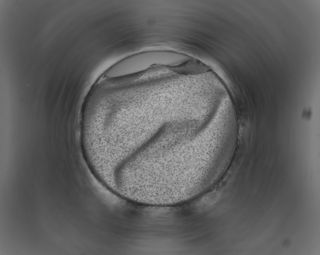 X0000092081143200710101035