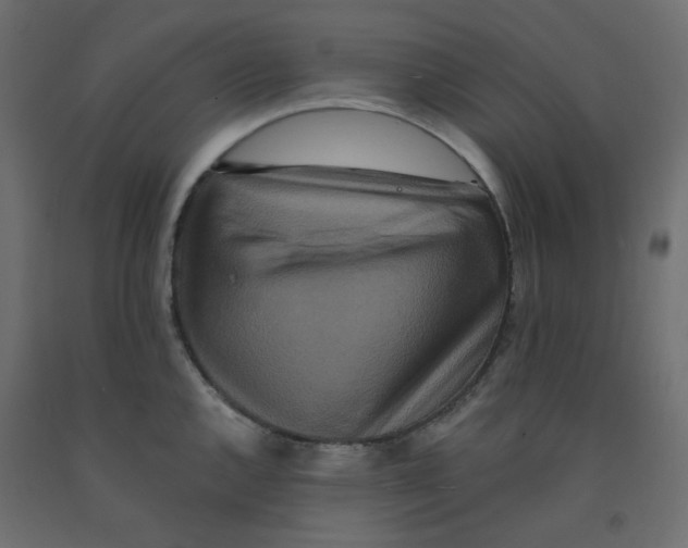 X0000092081144200710101035