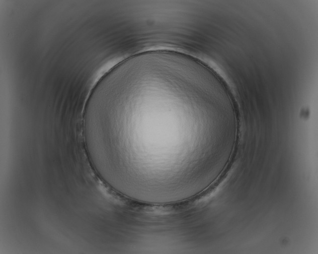 X0000092081145200710101035