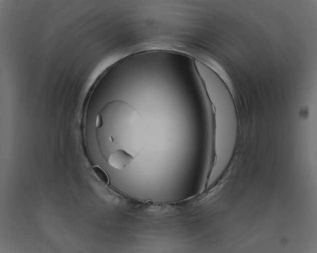 X0000092081146200710101035