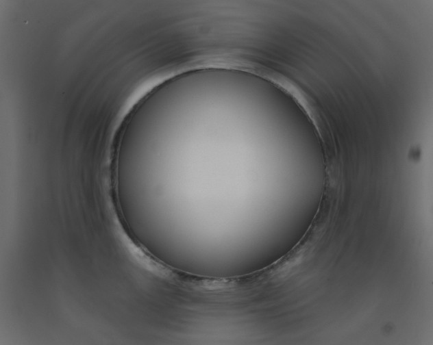 X0000092081147200710101035