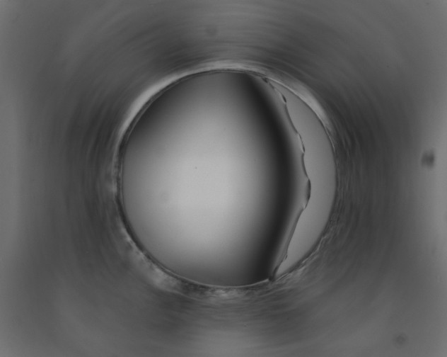 X0000092081148200710101035