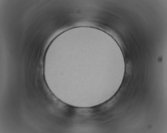 X0000092081150200710101035