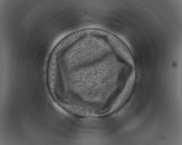 X0000092081151200710101035