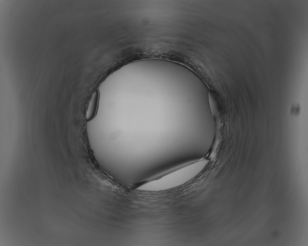 X0000092081153200710101034