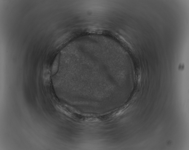 X0000092081154200710101034