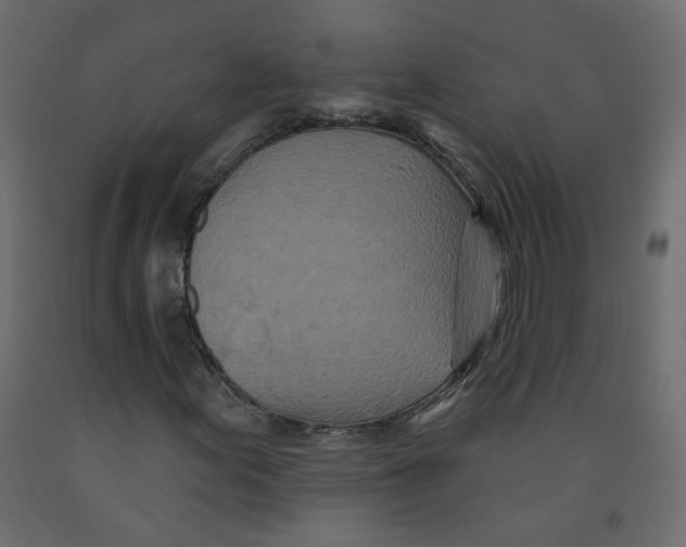 X0000092081155200710101034