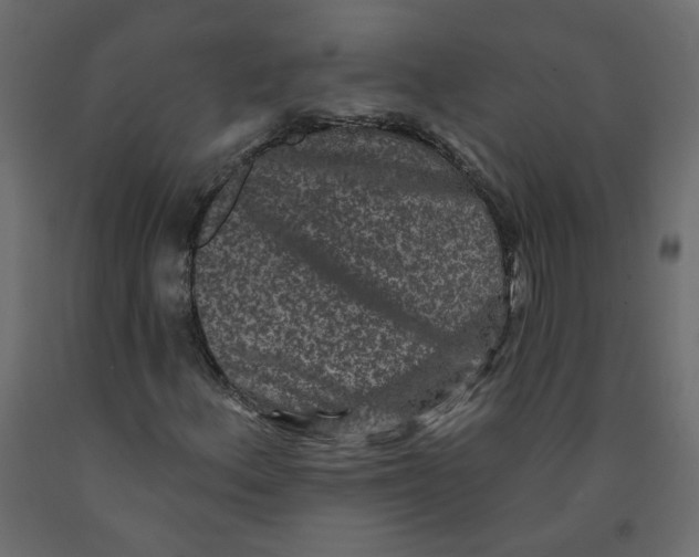 X0000092081156200710101034