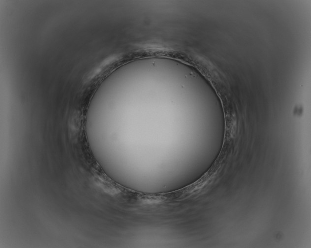 X0000092081157200710101034